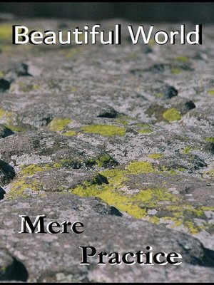 cover image of Beautiful World
